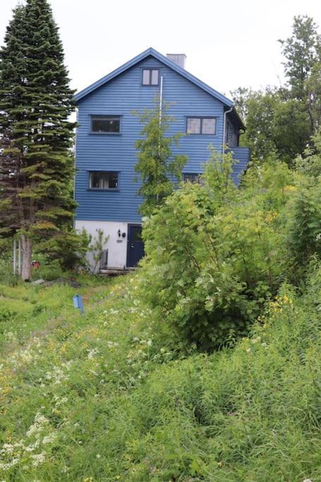 Willa Cozy Family House Tromsø Zewnętrze zdjęcie